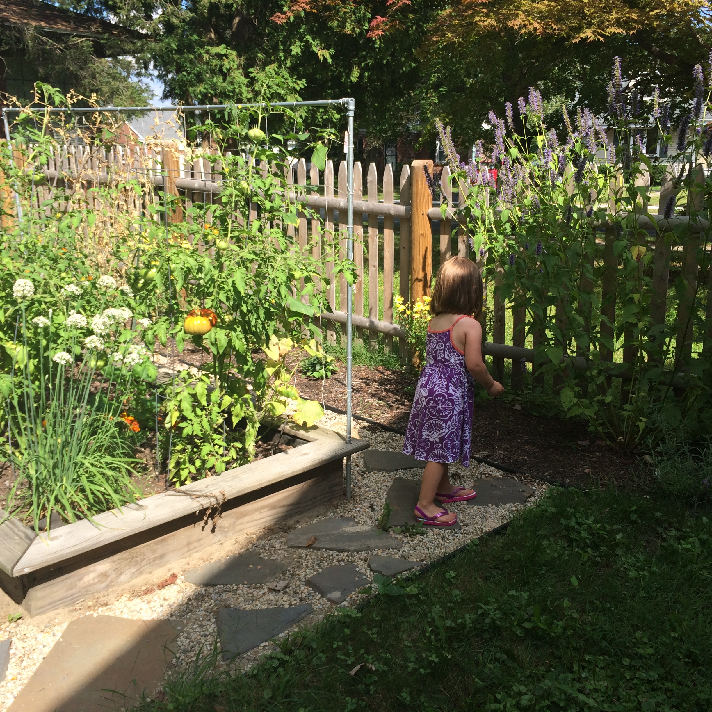 18518445234_feba39d9fe_o