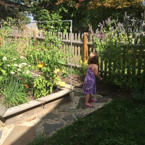 18518445234_feba39d9fe_o